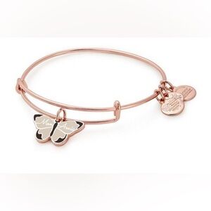 Alex and Ani mon amie charm bangle.